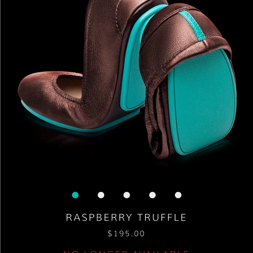 Tieks Brown and Blue Flats